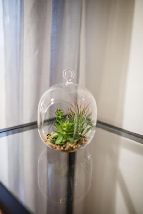 Cozy Apartement Selanik Dış mekan fotoğraf